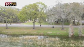 Drone Zone: Lake Hollingsworth