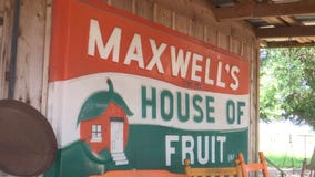 One Tank Trip: Maxwell Groves