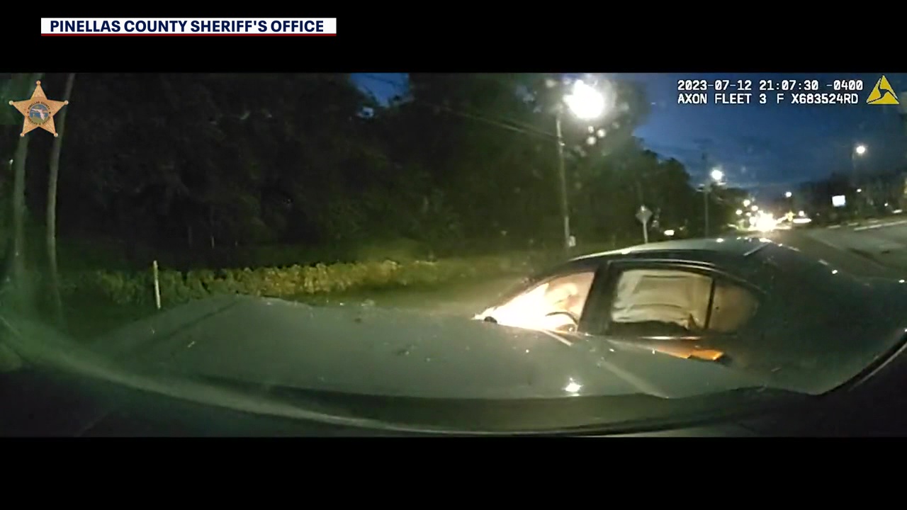 Dunedin man charged after crash with deputy