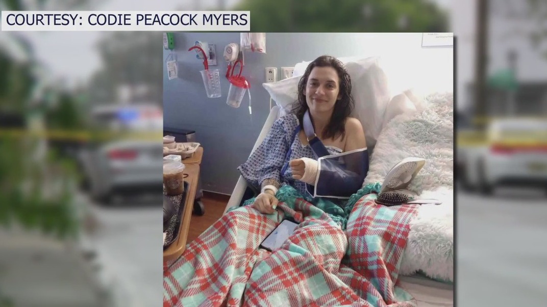 Tampa mom stabbed 13 times in front of children