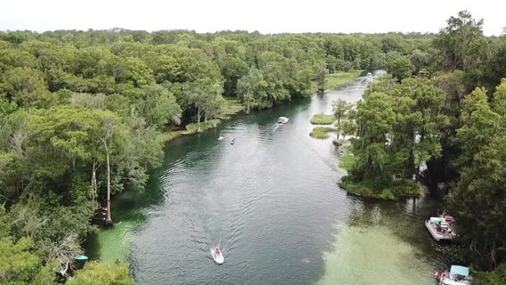 Boat captain combining his passion with nature