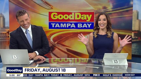 Good Day Goodies extended