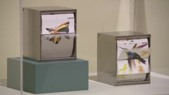 St. Petersburg museum opens new exhibit