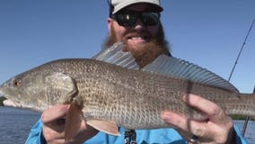Full moon, cold front impacts anglers