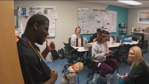 Program helps young adults with special needs