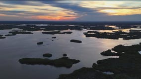 An osprey's view of Ozello