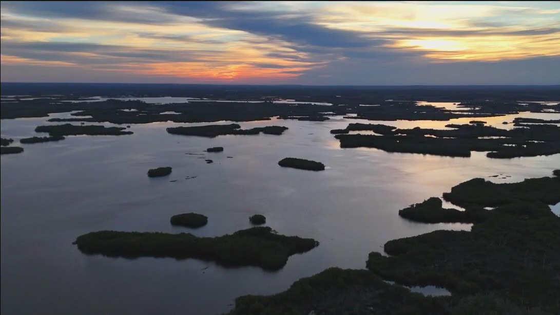 An osprey's view of Ozello