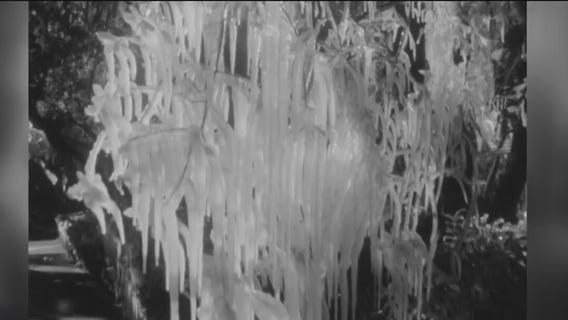 The lost reels: The Great Tampa Freeze of 1962