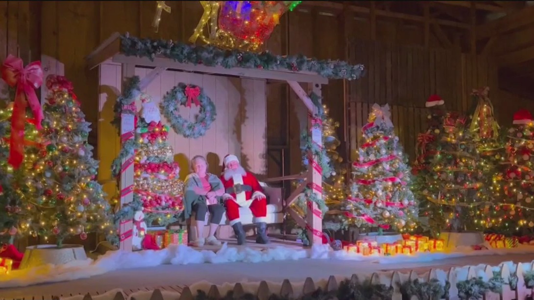 Tampa Bay's Festival of Lights