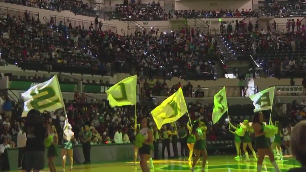 Attendance record at USF women's basketball game | FOX 13 Tampa Bay