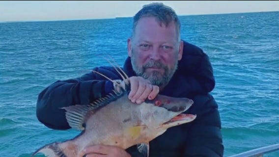 Fish jumping before a storm