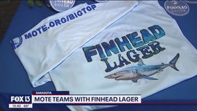 Mote Marine Laboratory & Aquarium teams up with Big Top Brewing Company