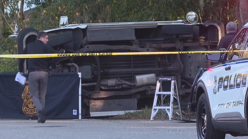 Tampa mailman struck, killed in hit-and-run | FOX 13 Tampa Bay