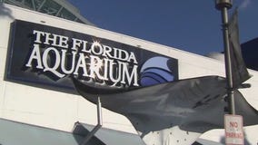 Charley's World | Snow Days at The Florida Aquarium