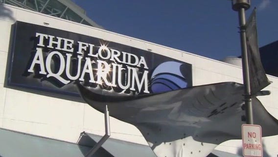 Charley's World | Snow Days at The Florida Aquarium