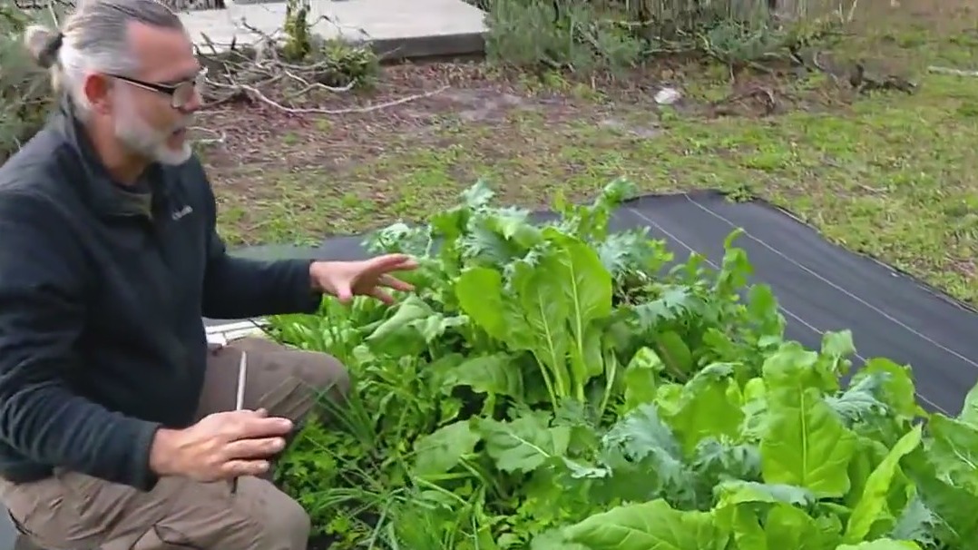 How to grow a bulletproof winter garden