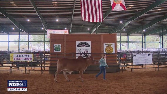 Manatee County Fair kicks off in Palmetto