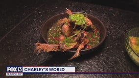 Rooster & the Till celebrates 10 years