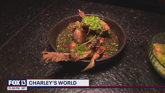 Rooster & the Till celebrates 10 years