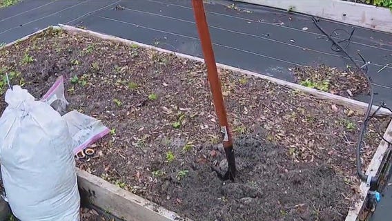 Gardeners set sights on spring