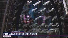 Fairgrounds St. Pete showcases new exhibit, The Bait Ball