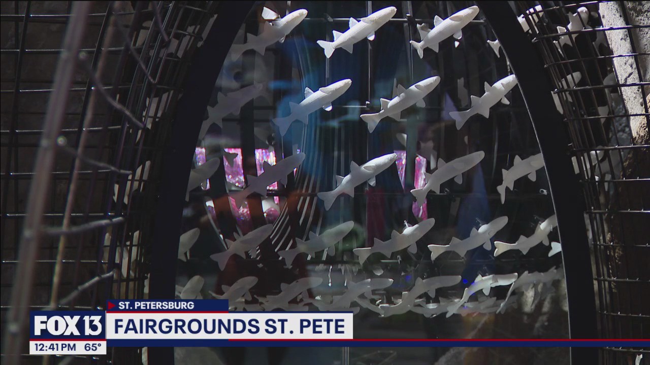 Fairgrounds St. Pete showcases new exhibit, The Bait Ball