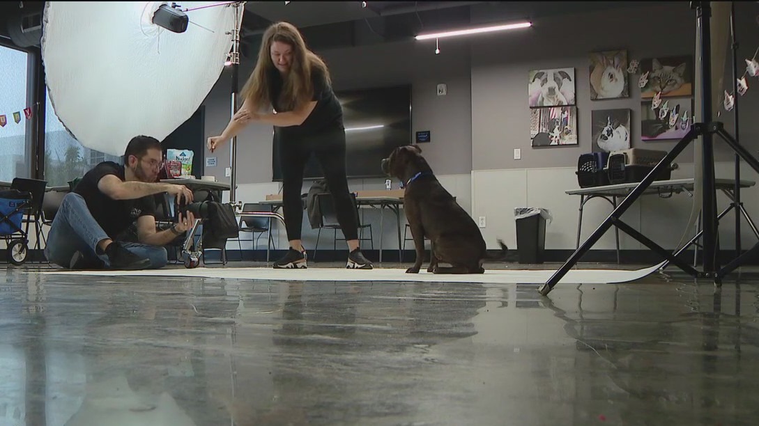 'Second Shot' program helps with pet adoptions