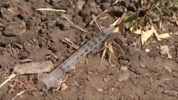 Hillsborough commissioners consider needle exchange to combat spread of disease