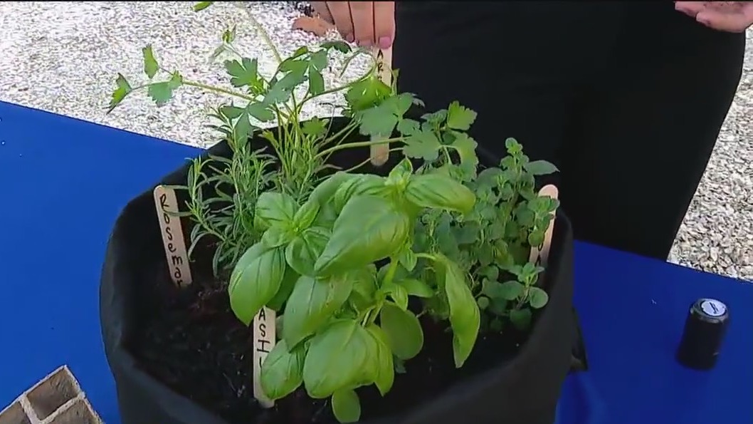 Florida learning garden at state fair