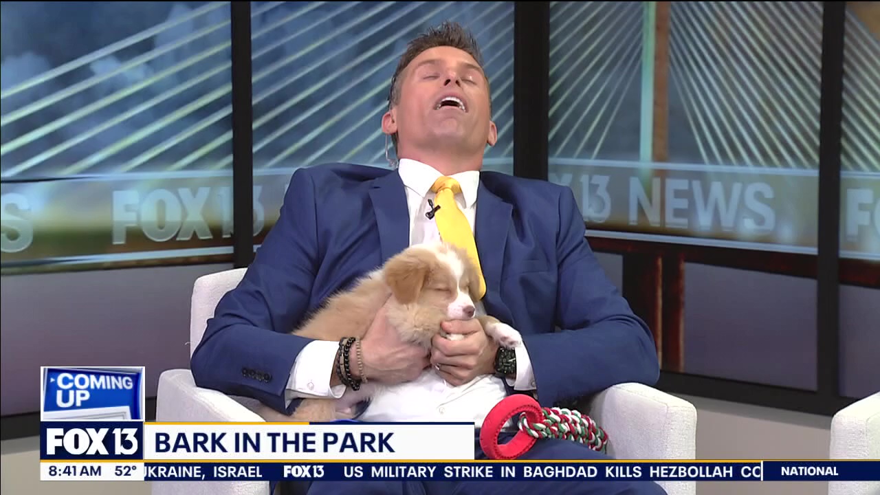 Good Day Goodies | Feb. 9, 2024