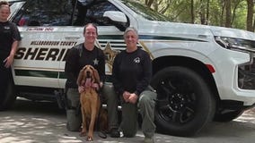 Helping law enforcement agencies train K-9's