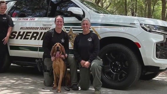 Helping law enforcement agencies train K-9's