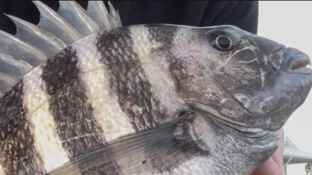 Good Day Fishing Report: Feb. 16, 2024