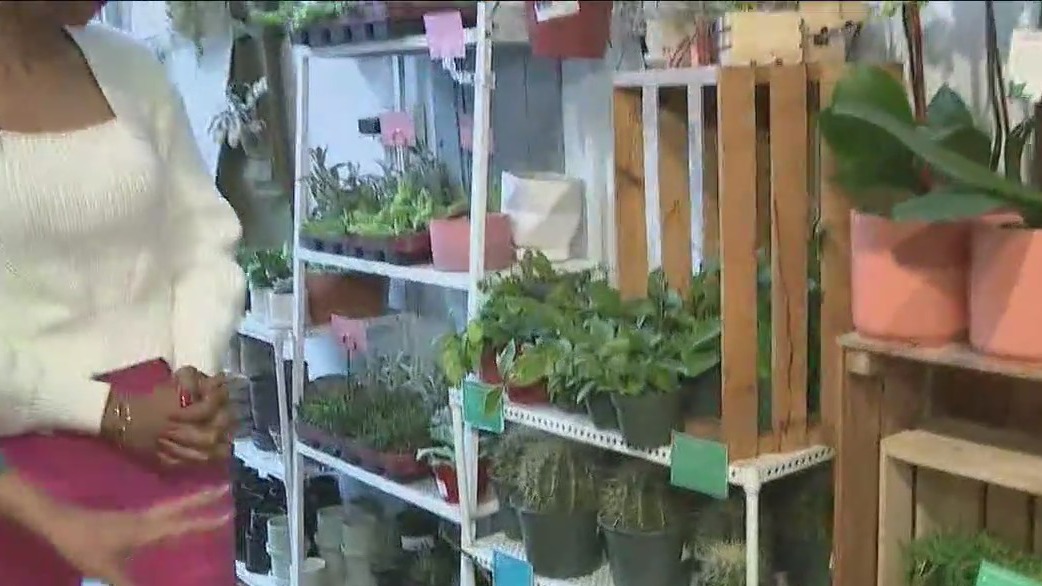 How do I take care of my plant?