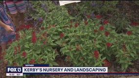 Building a butterfly garden