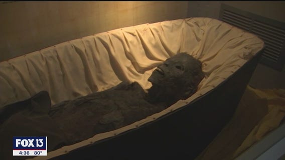 Behold the wonders of the St. Petersbug History Museum