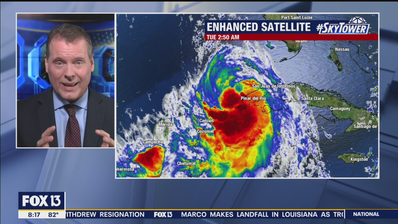 Today's tropics update