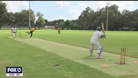 Tampa's cricket league you never knew about