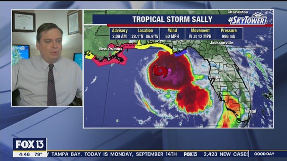 Today's tropics update