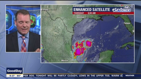 Today's tropics update