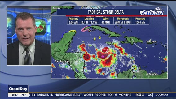 Today's tropics update