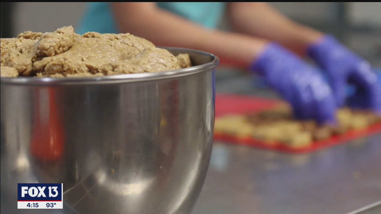 Made in Tampa Bay: Liz Anthony Protein Bites