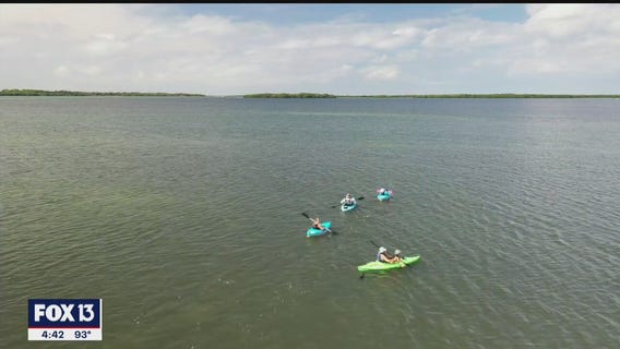 Exploring the Bay Area's waterways with Wandering Adventures