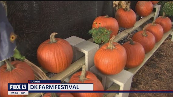 Farm Festival kicks off in Largo