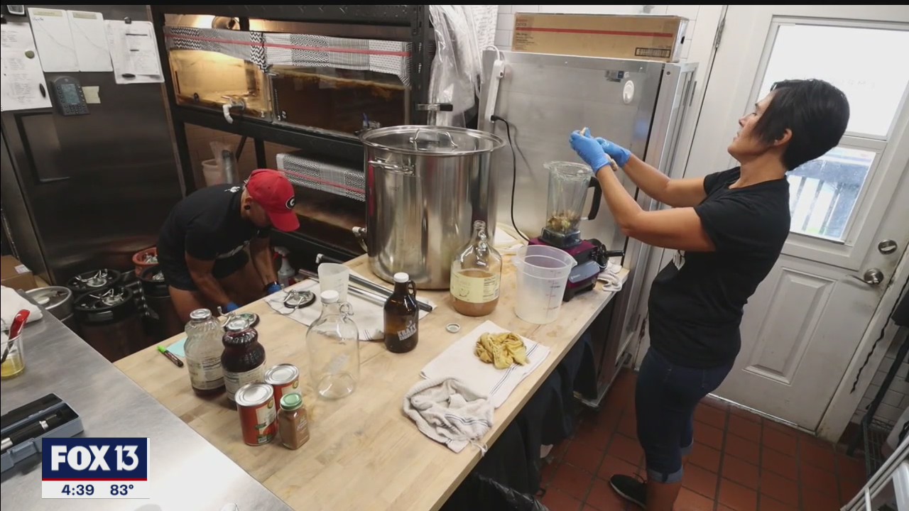 Made in Tampa Bay: Krazy Kombucha brewed in Lakeland