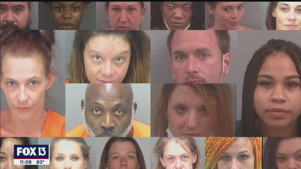 22 arrested in human trafficking sting | FOX 13 Tampa Bay
