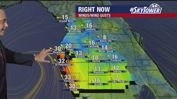 Tropical weather forecast