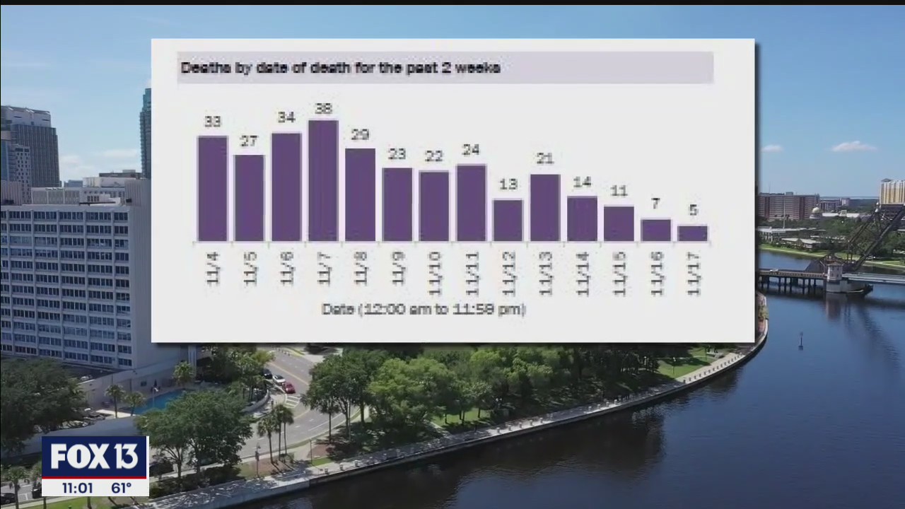 Doctors warn deaths come after case spikes | FOX 13 Tampa Bay