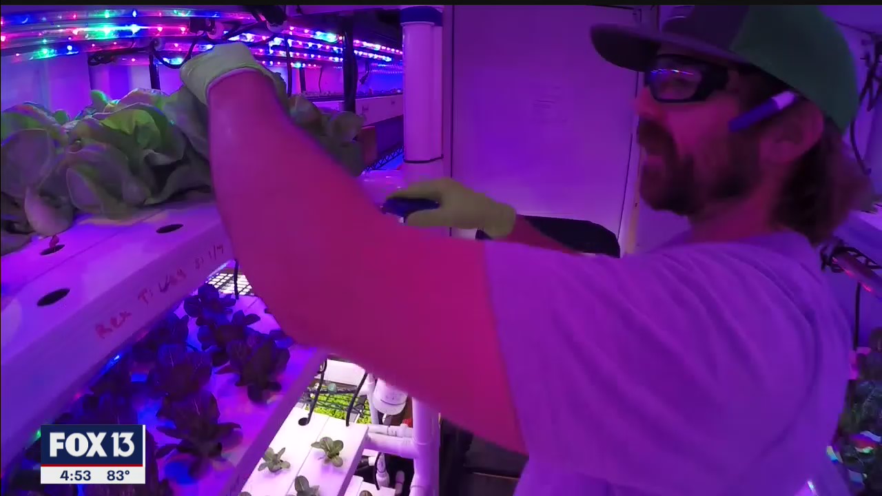 Made in Tampa Bay: Thrive Containers indoor farming