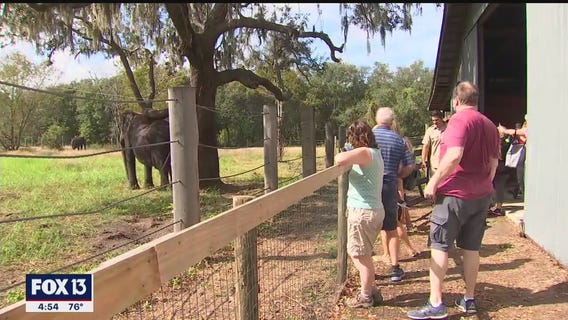 Myakka Elephant Ranch hidden gen of Florida
